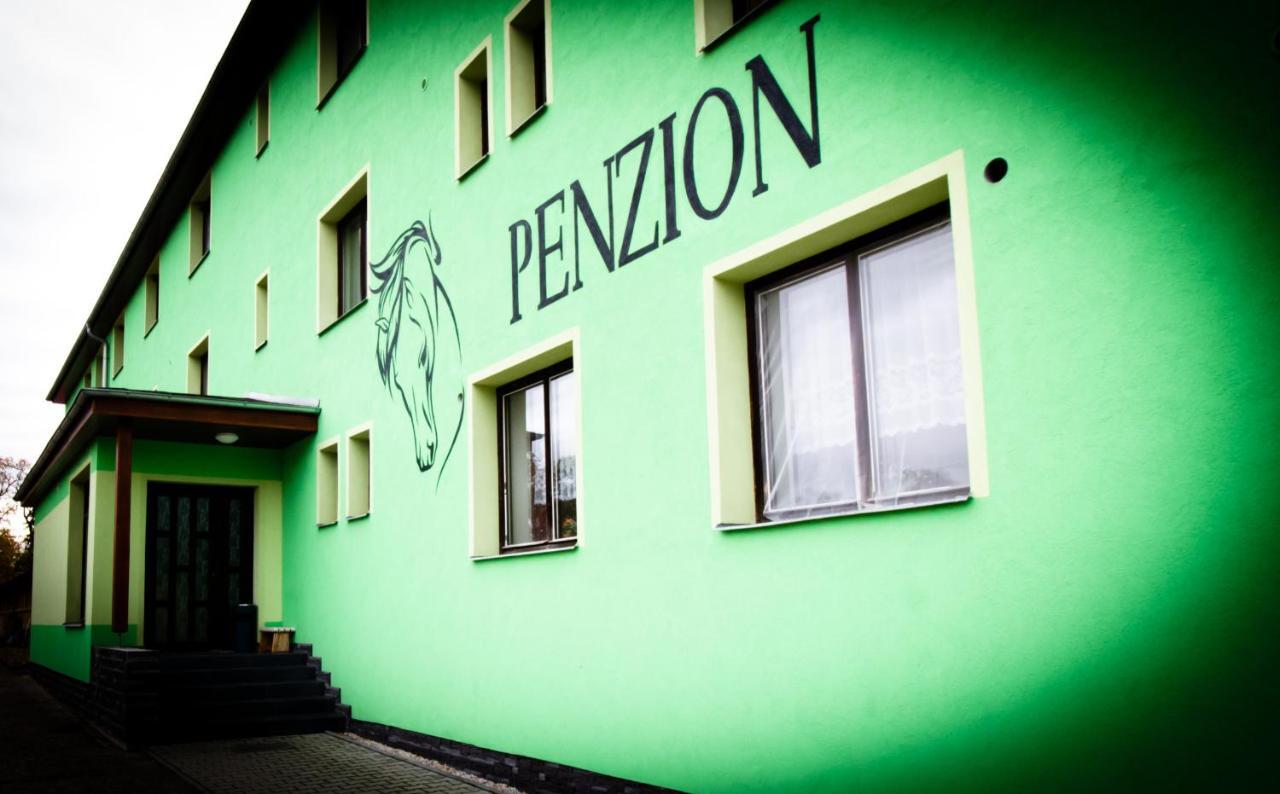 Pension Jezdecke Centrum Kocik Struzna Exterior photo